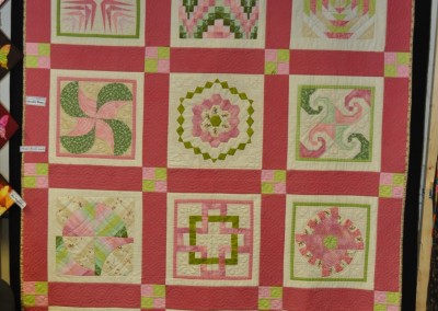 Denise W, her 2nd quilt sampler