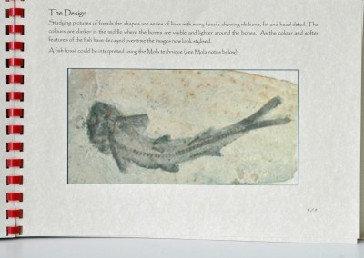 19. Jo G. A design for reverse applique based on a fossil fish.