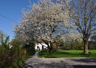 10. Mole End in spring